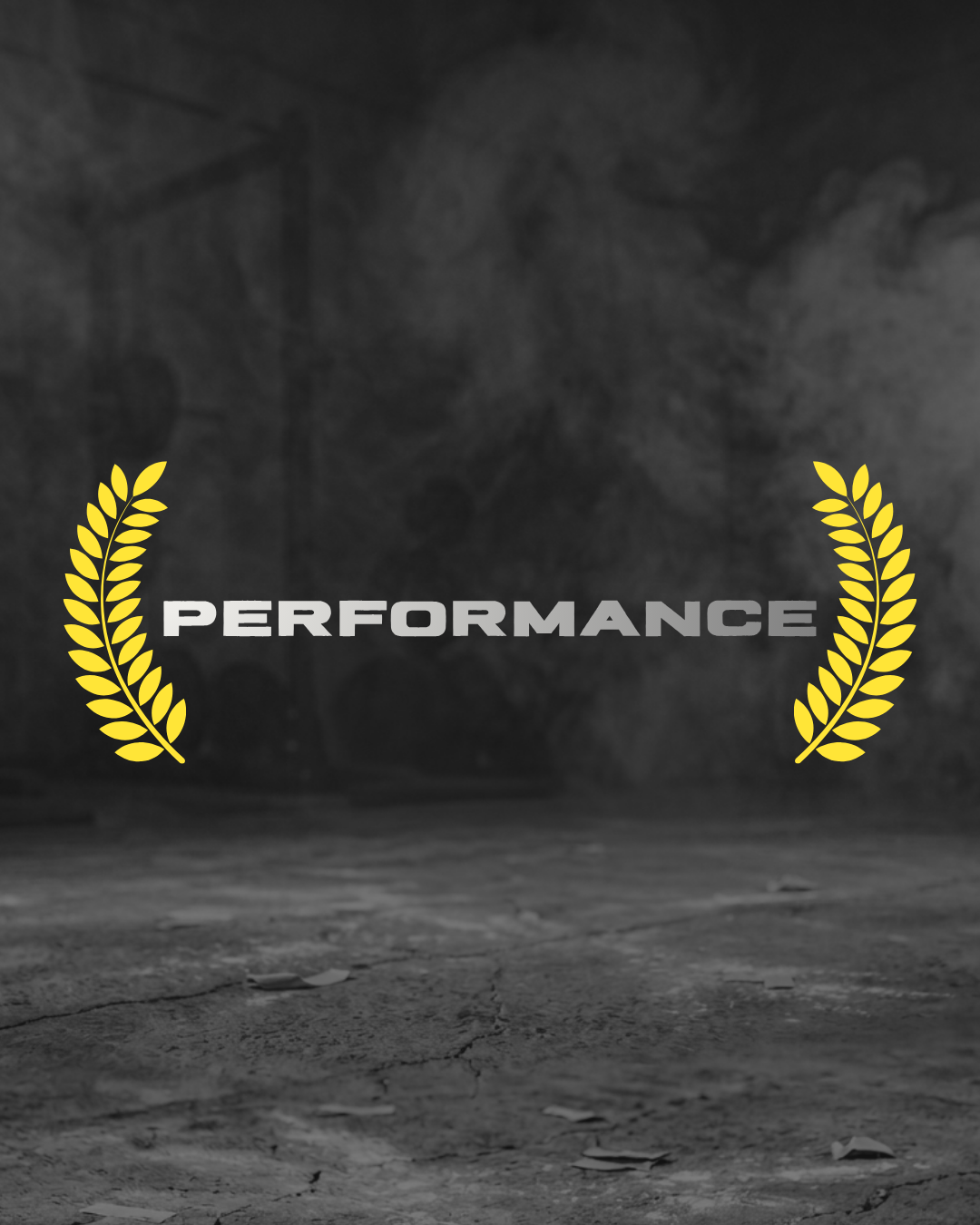 PERFORMANCE